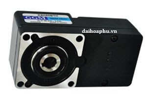 Hộp giảm tốc trục lỗ GGM K9H10BTH