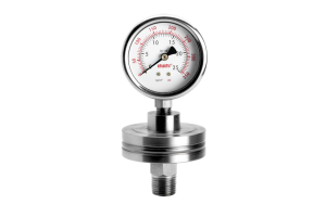 Đồng hồ áp suất dạng màng Atlantis DS170(W)