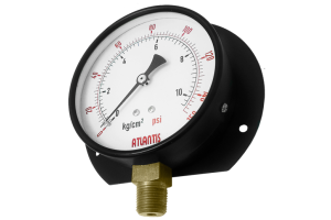 Đồng hồ áp suất dạng màng Atlantis EPG
