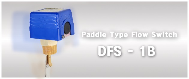 DFS-1B