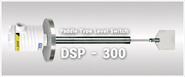 DSP-300