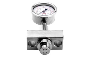 Đồng hồ áp suất dạng màng Atlantis DS350