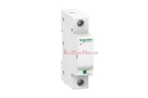 Chống sét lan truyền 1P 40kA Schneider A9L40100